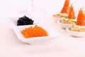 Red and black caviar with smoked salmon rolls Royalty Free Stock Photo