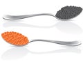 Red and black caviar in spoon