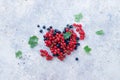 Red and black currants with leaves. Royalty Free Stock Photo