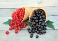 Red and black currants in waffle cones on rustic wooden background. Dietary and healthy dessert. Royalty Free Stock Photo
