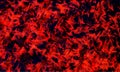 Red and black explosive background with sharp triangles. Shards shape composition. Music, sport, gaming , website