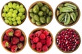 Red and black food. Berries and fruits isolated on white background. Collage of different fruits and berries at green and red colo Royalty Free Stock Photo