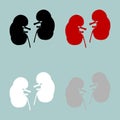 Red black grey white kidneys icon.