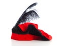 Red with black hat of Zwarte Piet Royalty Free Stock Photo