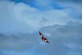 Red and black kite in a blue cloudy sky Royalty Free Stock Photo