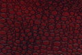 Red and black leather texture Royalty Free Stock Photo