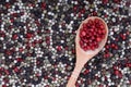 Red and black pepper peas in a wooden spoon on a white concrete, stone or slate background. view from above. close-up Royalty Free Stock Photo