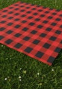 Red And Black Plaid Blanket On Green Grass Royalty Free Stock Photo