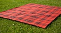 Red and Black Plaid Picnic Blanket on Green Grass Royalty Free Stock Photo