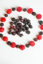 Red and black raspberries laid out in a circle on a white background Royalty Free Stock Photo