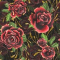 Red-black rose flowers with green leaves and buds, golden branches chic, bright, beautiful. Hand drawn watercolor Royalty Free Stock Photo