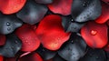 Red and Black Rose Petals Glistening With Dewdrops Royalty Free Stock Photo
