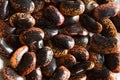 Red and black spotted beans close-up. The pattern of the haricot, background, texture. A healthy diet, a source of protein. Copy Royalty Free Stock Photo