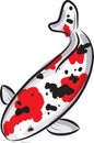 Red and black spotted carp koi Royalty Free Stock Photo