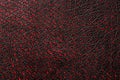 Red - black textured reptile skin, used texture for the background. Lizard or crocodile skin