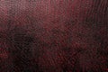 Red - black textured reptile skin, used texture for the background. Lizard or crocodile skin