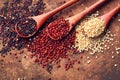 Red, black and white quinoa grains in a wooden spoon. Healthy food background. Seeds of white, red and black quinoa - Chenopodium Royalty Free Stock Photo