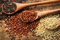 Red, black and white quinoa grains in a wooden spoon. Healthy food background. Seeds of white, red and black quinoa