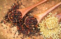 Red, black, white quinoa grains in a wooden spoon. Healthy food background. Seeds of white, red and black quinoa Royalty Free Stock Photo