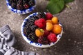 Red, black and yellow raspberry Royalty Free Stock Photo