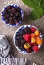 Red, black and yellow raspberry Royalty Free Stock Photo