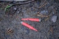 Red blank training ammunition on ground