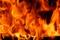 Red blaze Fire flame on a black background Royalty Free Stock Photo