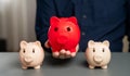 Red bloated piggy bank against the background of normal ones.