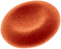 Red Blood Cell