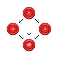 Red blood cell compatibility chart diagram medical Royalty Free Stock Photo