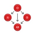 Red blood cell compatibility chart diagram medical Royalty Free Stock Photo