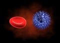 Red blood cell and germ