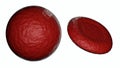 a red blood cell (RBC) that is spherical in shape or spherocyte