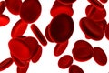 Red Blood Cells