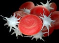 Red blood cells and activated platelets or thrombocytes