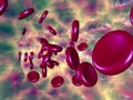 Red blood cells in alien vein