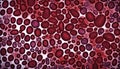 red blood cells background, blood wallpaper, blood background, red background