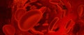 Red blood cells circulating in blood vessels 3D render