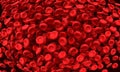 Red blood cells 3D