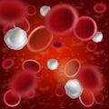 Read and White Blood Cells Realistic bloodstream Royalty Free Stock Photo