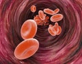 Red blood cells and blood flow through a vein, small spherical cells that contain hemoglobin Royalty Free Stock Photo