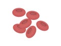 Red blood cells flowing in a vein or artery, flat design,cells isolated on white background - illustration Royalty Free Stock Photo