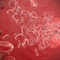 Red blood cells flowing through veins from the human circulatory system. 3d illustration