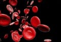 Red Blood Cells