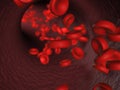 Red blood cells hemoglobin in vein/artery Royalty Free Stock Photo