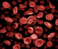 red blood cells are in a hypertonic solution Royalty Free Stock Photo