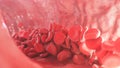 Red blood cells inside an artery, vein. Flow of blood inside a living organism. Scientific and medical concept. Transfer Royalty Free Stock Photo