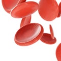 Red blood cells isolated in white background Royalty Free Stock Photo