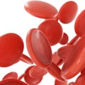 Red blood cells isolated in white background Royalty Free Stock Photo