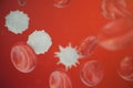 Red blood cells, leukocyte or white blood cells, are the cells of the immune system, infection. Medical concept of human